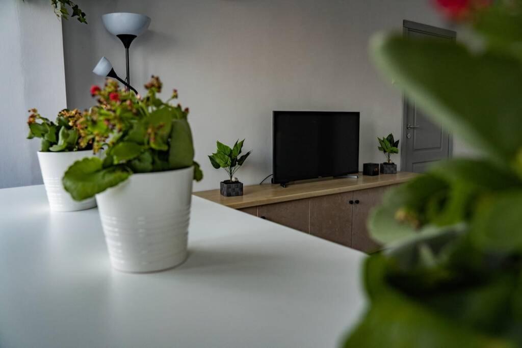 Modern 1 Bedroom Apartment In Bucharest Center! Exterior photo